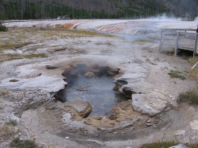 Yellowstone0806 023.jpg